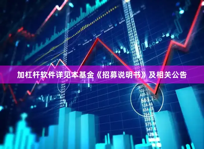 加杠杆软件详见本基金《招募说明书》及相关公告