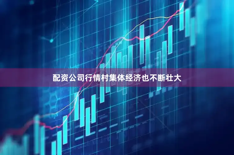 配资公司行情村集体经济也不断壮大