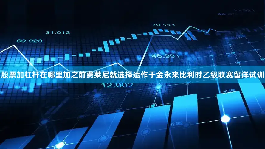 股票加杠杆在哪里加之前费莱尼就选择运作于金永来比利时乙级联赛留洋试训
