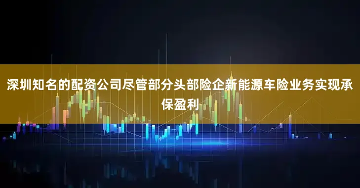 深圳知名的配资公司尽管部分头部险企新能源车险业务实现承保盈利
