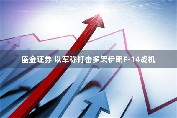 盛金证券 以军称打击多架伊朗F-14战机