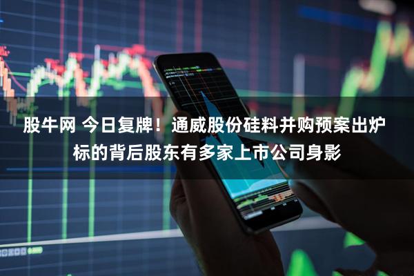股牛网 今日复牌！通威股份硅料并购预案出炉 标的背后股东有多家上市公司身影