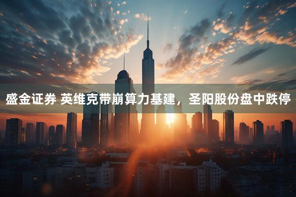 盛金证券 英维克带崩算力基建，圣阳股份盘中跌停