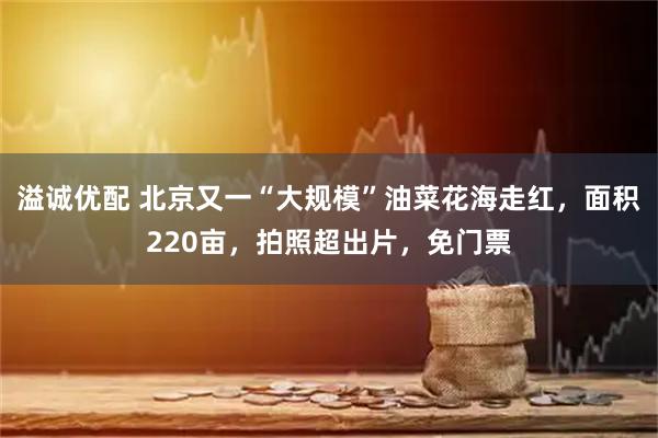 溢诚优配 北京又一“大规模”油菜花海走红，面积220亩，拍照超出片，免门票