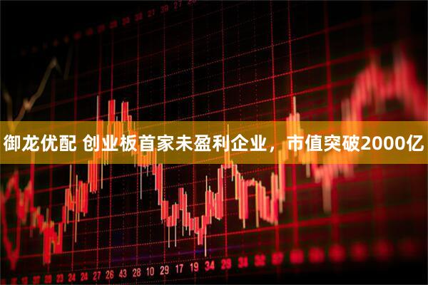 御龙优配 创业板首家未盈利企业，市值突破2000亿